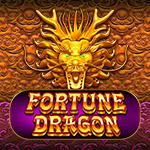 Fortune Dragon PP